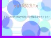 第16課　童話里的小屋_（課件） 美術(shù)一年級上冊-人教版