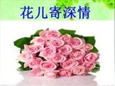 第11課 花兒寄深情(1)（課件） 美術一年級上冊-人教版