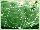 第4課  下雨啦_（課件） 美術(shù)一年級上冊-人教版