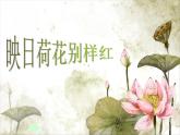 小学五年级下册美术课件-第18课映日荷花别样红-浙美版(40张)ppt课件