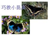 小學(xué)二年級上冊美術(shù)課件-2.5巧救小昆蟲-嶺南版(29張)ppt課件