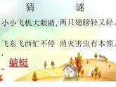 小學(xué)二年級上冊美術(shù)課件-2.5巧救小昆蟲-嶺南版(29張)ppt課件