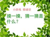小學(xué)二年級(jí)上冊(cè)美術(shù)課件-3.9我家的菜籃子-嶺南版(39張)ppt課件
