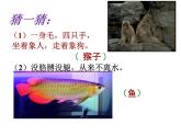 小學(xué)二年級上冊美術(shù)課件-第17課動物樂園-人美版(35張)ppt課件