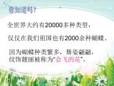 小学二年级下册美术课件-第5课折剪蝴蝶-浙美版(27张)ppt课件