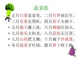 蔬菜PPT课件免费下载