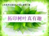 小學(xué)美術(shù)課件-第11課拓印樹葉真有趣-人美版(25張PPT)ppt課件