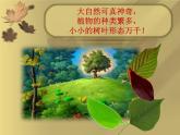 小學(xué)美術(shù)課件-第11課拓印樹葉真有趣-人美版(23張PPT)ppt課件