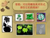 小學(xué)美術(shù)課件-第11課拓印樹葉真有趣-人美版(23張PPT)ppt課件