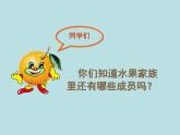 小學(xué)美術(shù)課件-第12課好吃的水果-人美版(12張PPT)(2)ppt課件