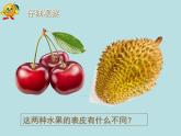 小學(xué)美術(shù)課件-第12課好吃的水果-人美版(12張PPT)(2)ppt課件