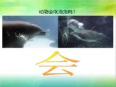 小学一年级美术上册课件-第3课圆的世界-人美版(17张)ppt课件