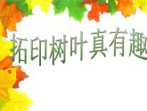 小學(xué)美術(shù)課件-第11課拓印樹葉真有趣-人美版(15張PPT)ppt課件