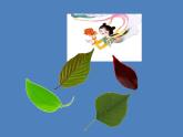 小學(xué)美術(shù)課件-第11課拓印樹葉真有趣-人美版(12張PPT)ppt課件