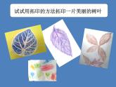 小學(xué)美術(shù)課件-第11課拓印樹葉真有趣-人美版(12張PPT)ppt課件