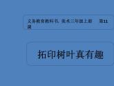 小學(xué)美術(shù)課件-第11課拓印樹葉真有趣-人美版(12張PPT)ppt課件