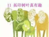 小學(xué)美術(shù)課件-第11課拓印樹葉真有趣-人美版(14張PPT)ppt課件