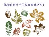小學(xué)美術(shù)課件-第11課拓印樹葉真有趣-人美版(14張PPT)ppt課件