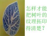 小學(xué)美術(shù)課件-第11課拓印樹葉真有趣-人美版(14張PPT)ppt課件
