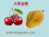 小學(xué)美術(shù)課件-第12課好吃的水果-人美版(12張PPT)(1)ppt課件