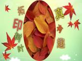 小學(xué)美術(shù)課件-第11課拓印樹葉真有趣-人美版(16張PPT)ppt課件