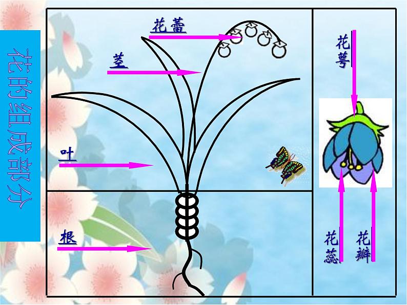 小学美术课件-第14课茂密的花-人美版(17张PPT)ppt课件07