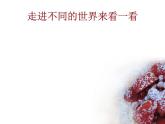 小學(xué)美術(shù)課件-第14課假如我變小-冀美版(14張PPT)(1)ppt課件
