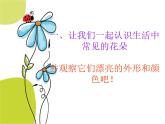 小學(xué)美術(shù)課件-第14課茂密的花-人美版(20張PPT)(1)ppt課件