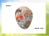 人教版 小學(xué)美術(shù)《第7課 漂浮的畫》課件