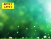 小學(xué)美術(shù)課件-第14課茂密的花-人美版(21張PPT)ppt課件