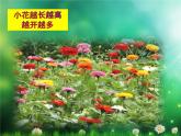小學(xué)美術(shù)課件-第14課茂密的花-人美版(21張PPT)ppt課件