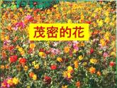 小學(xué)美術(shù)課件-第14課茂密的花-人美版(21張PPT)ppt課件