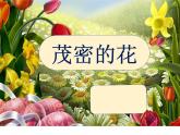 小學(xué)美術(shù)課件-第14課茂密的花-人美版(24張PPT)(1)ppt課件