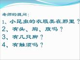 小學(xué)二年級上冊美術(shù)課件-2.5巧救小昆蟲-嶺南版(40張)ppt課件