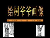 小學(xué)二年級上冊美術(shù)課件-3.8給樹爺爺畫像-嶺南版(28張)ppt課件