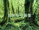 小學(xué)二年級上冊美術(shù)課件-3.8給樹爺爺畫像-嶺南版(27張)ppt課件