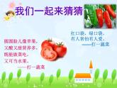 小學(xué)二年級(jí)上冊(cè)美術(shù)課件-3.9我家的菜籃子-嶺南版(26張)(1)ppt課件