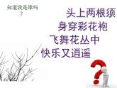 小學(xué)二年級上冊美術(shù)課件-第17課動物樂園-人美版(22張)(2)ppt課件