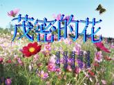 小學(xué)美術(shù)課件-第14課茂密的花-人美版(15張PPT)(1)ppt課件