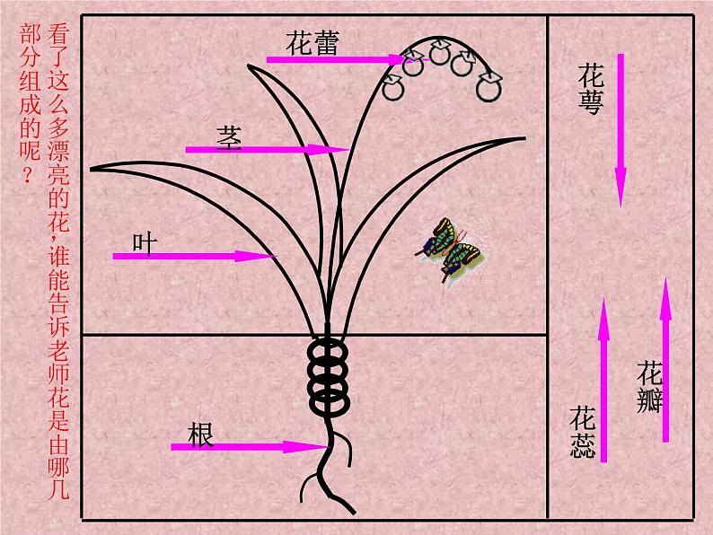 小学美术课件-第14课茂密的花-人美版(15张PPT)(1)ppt课件04