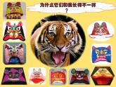 小學(xué)美術(shù)課件-第16課漂亮的虎頭帽-冀美版(16張PPT)ppt課件