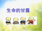 生命的甘露PPT課件免費(fèi)下載