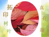 小學(xué)美術(shù)人美版 三年級上學(xué)期《第11課拓印樹葉真有趣》-(3)課件
