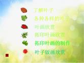 小學(xué)美術(shù)人美版 三年級上學(xué)期《第11課拓印樹葉真有趣》-(3)課件