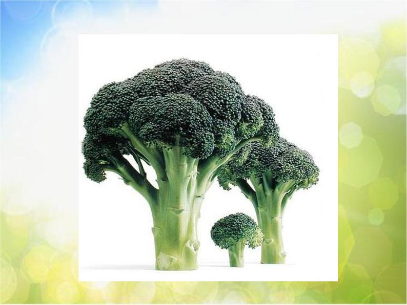 小学美术人教版 二年级下册《第11课蔬果变变变》-(3)课件04