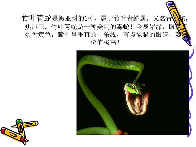 小学二年级上册美术课件-2.6可爱的玩具蛇-岭南版(25张)ppt课件第5页