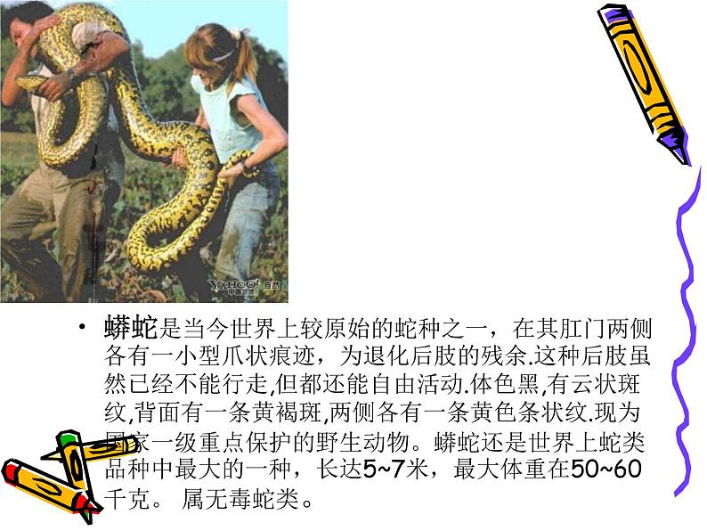 小学二年级上册美术课件-2.6可爱的玩具蛇-岭南版(25张)ppt课件第7页