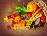 小學(xué)二年級(jí)上冊(cè)美術(shù)課件-3.9我家的菜籃子-嶺南版(26張)ppt課件