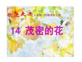 小學(xué)二年級上冊美術(shù)課件-第14課茂密的花-人美版(22張)ppt課件