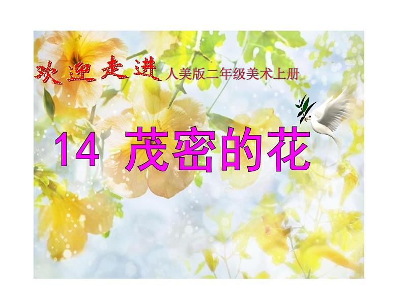 小学二年级上册美术课件-第14课茂密的花-人美版(22张)ppt课件第2页